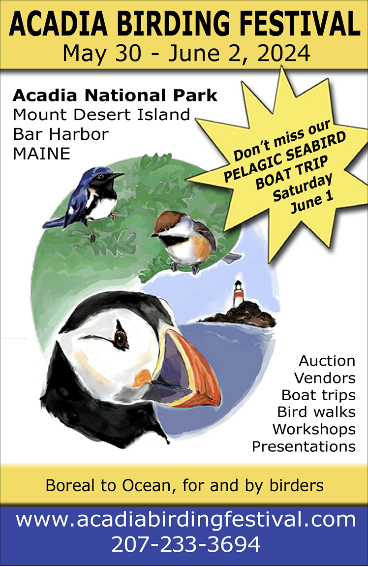 Acadia Birding Festival June 1-4, 2023