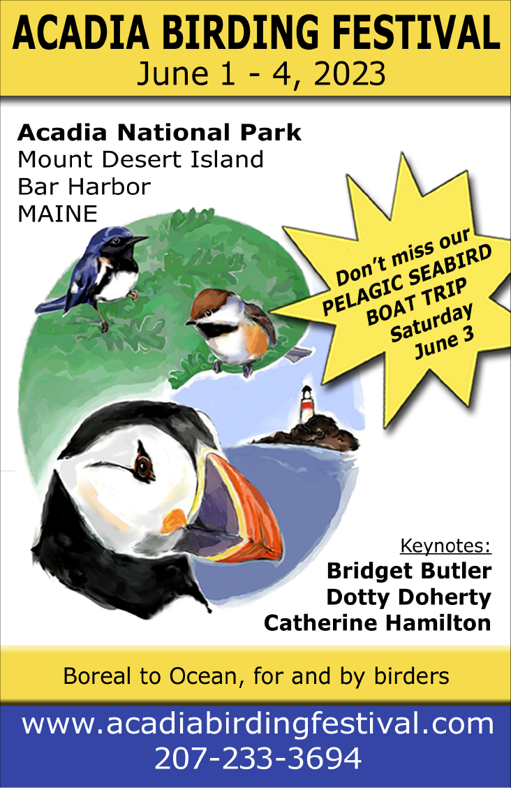 Acadia Birding Festival June 1-4, 2023