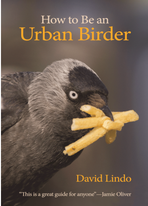 Assets/bo47-1/urban_birder.png