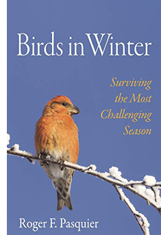 Assets/bo48-6/cover_Birds_in_Winter.png