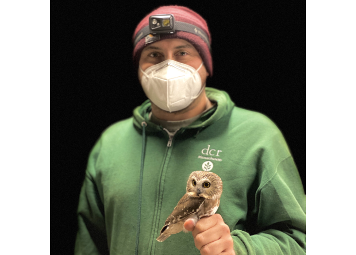 The author holds a banded Northern Saw-whet Owl. Photograph by Casey Riley.