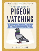 A Pocket Guide to Pigeon Watching: Getting to Know the World’s Most Misunderstood Bird.