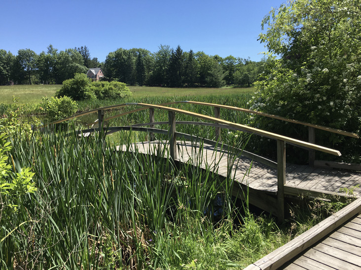 Doyle Community Park, Leominster. Photograph by Marcy Marchello.