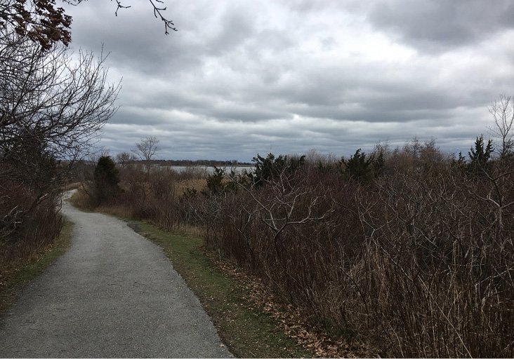 Webb Memorial State Park, North Weymouth. Photograph by Marcy Marchello.