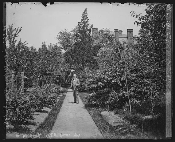William Brewster in his garden, 145 Brattle Street, Cambridge, Massachusetts