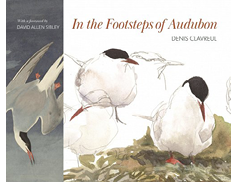 In the Footsteps of Audubon