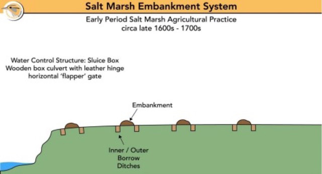 Figure 1. Management of salt marshes in late 1600s to 1700s. Diagram by G. Wilson.