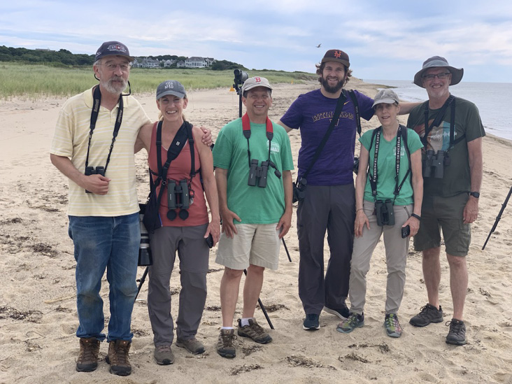 Finding the Lesser Sand-Plover (Charadrius mongolus)