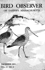 Bygone Birds: Historical Highlights for July–August