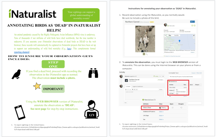 Figure 1. Guidance on how to annotate birds as ‘dead’ in iNaturalist, prepared by Environment and Climate Change Canada.