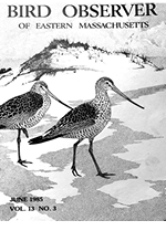 Bygone Birds: Historical Highlights for January-February