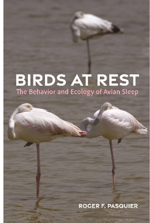 Birds at Rest: The Behavior and Ecology of Avian Sleep