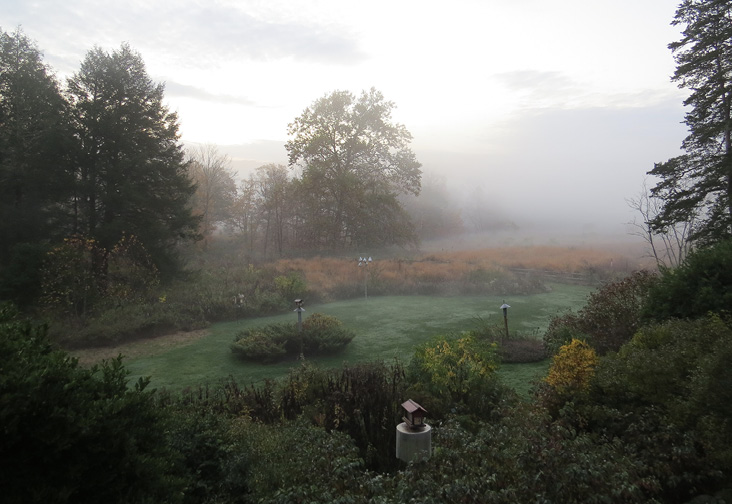 View from the Nature Center’s birding balcony. All photographs by Corrie Folsom-O’Keefe.