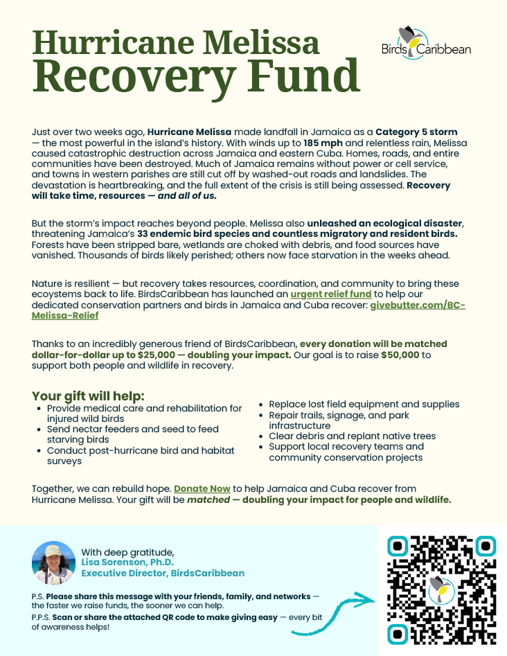 Hurricane Melissa Recovery Fund
