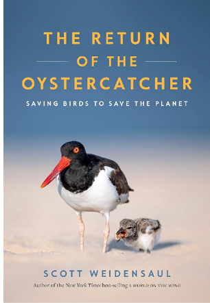 The Return of the Oystercatcher: Saving Birds to Save the Planet.