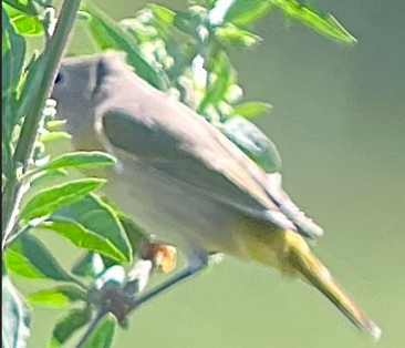 Hot Birds: October 2026