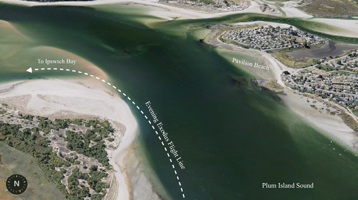 Map of evening exodus flight line. Image courtesy of the author.