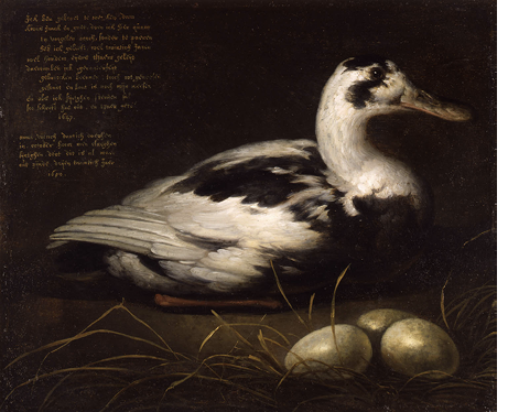 Albert Cuyp, Portrait of the Duck Sijctghen, 1647-1650. Oil on canvas. Image courtesy of Mauritshuis, The Hague.