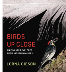 Birds Up Close: An Engineer Explores Their Hidden Wonders.