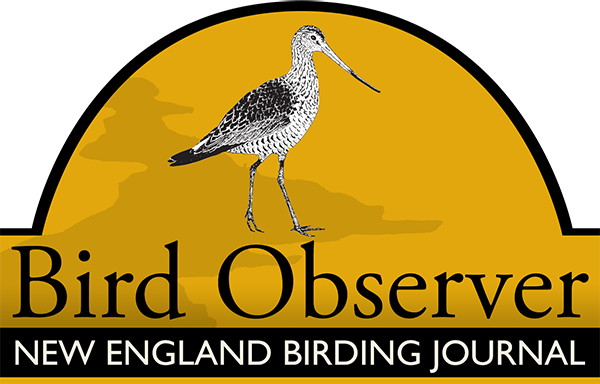 Bird Observer logo
